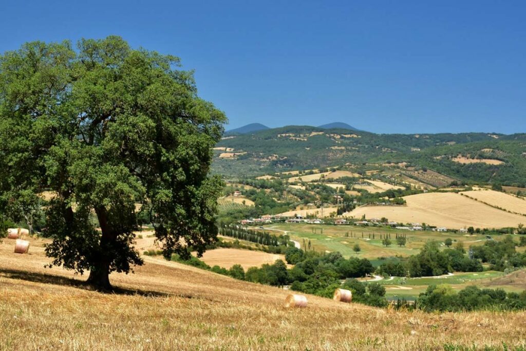 Maremma, terra selvaggia e ricca di storia - Schola Palatina